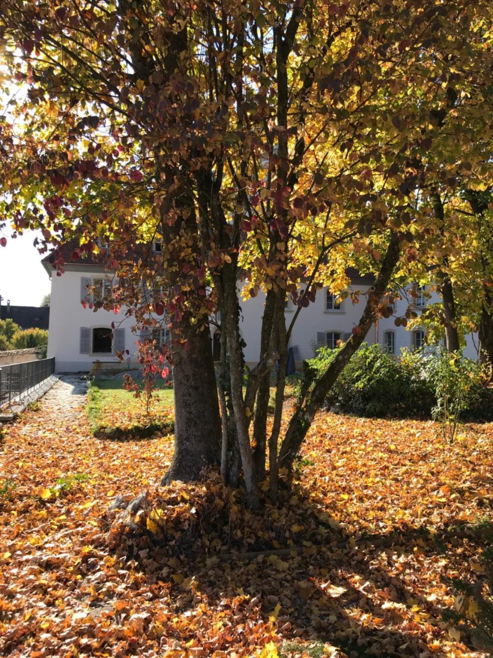 Manoir De La Cote-Dieu Porrentruy Dış mekan fotoğraf